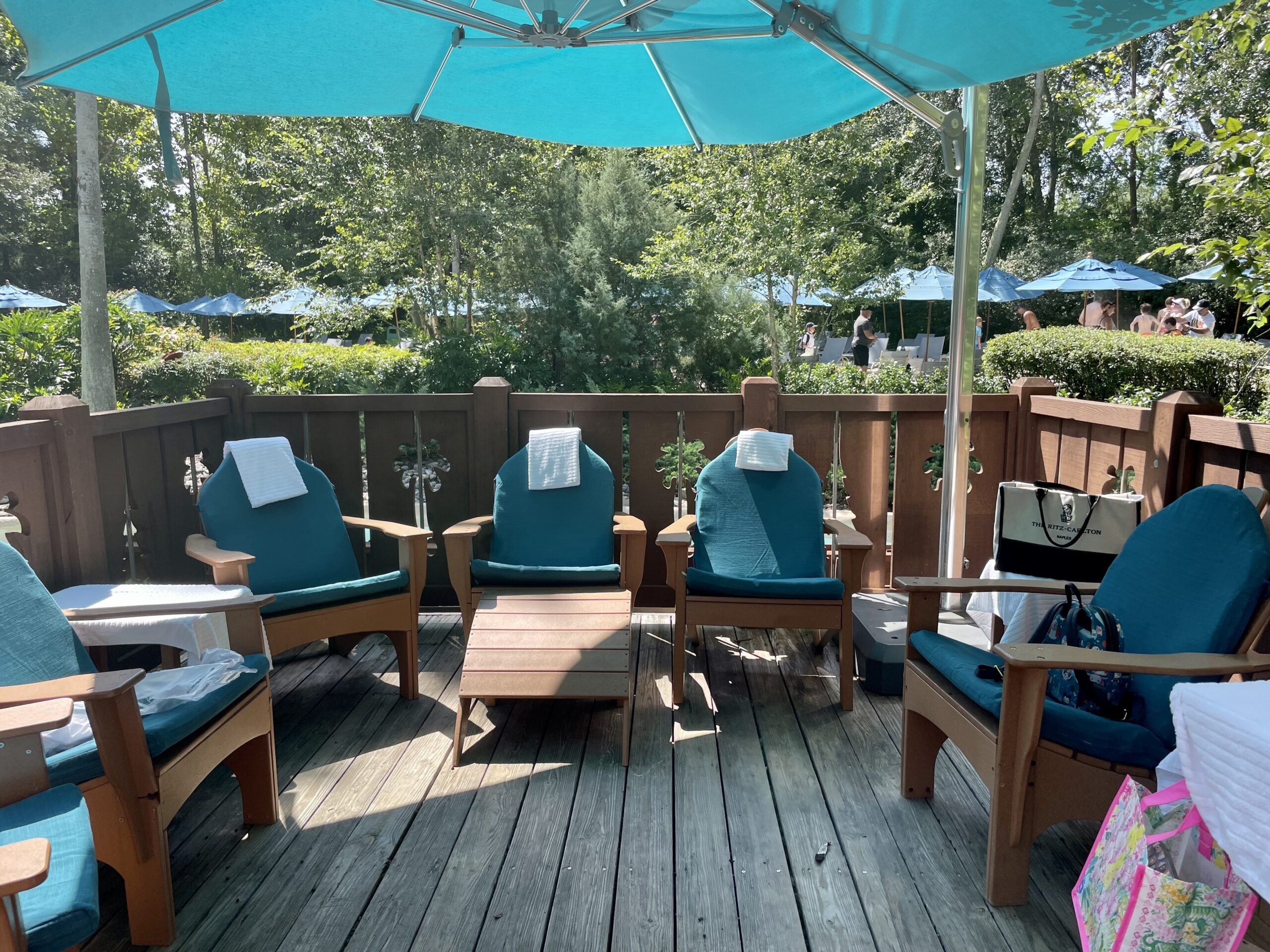 ❄️ Disney Blizzard Beach Polar Patio Review: Is It Worth It?
